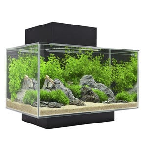 พิพิธภัณฑ์สัตว์น้ำ Fluval Edge