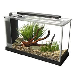 Fluval Spec V.