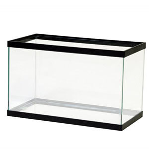 พิพิธภัณฑ์สัตว์น้ำ Aqueon Black