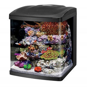 พิพิธภัณฑ์สัตว์น้ำ Cube