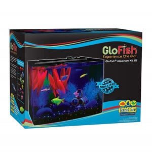 พิพิธภัณฑ์สัตว์น้ำ GloFish