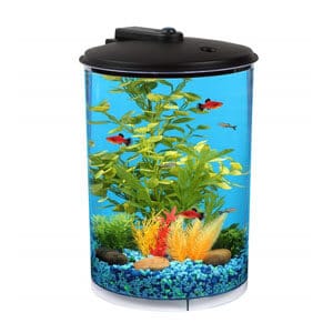 Koller Aquaview ถัง 3 แกลลอน