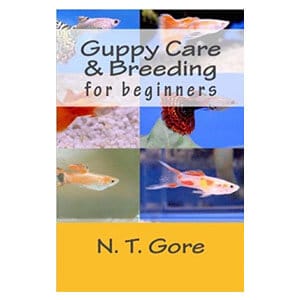 คู่มือเริ่มต้นสำหรับการดูแล Guppies