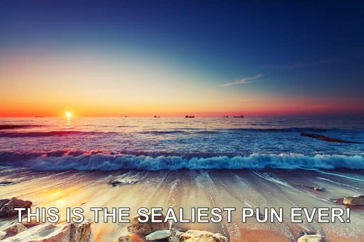 Sealiest Pun ที่เคยมีมา