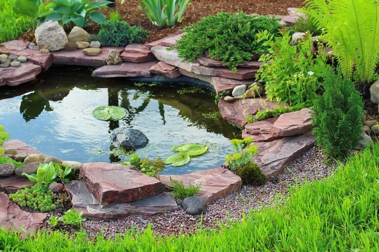 การตั้งค่า Turtle Pond