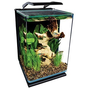พิพิธภัณฑ์สัตว์น้ำขนาดเล็กเหมาะสำหรับ Countertop Paludarium